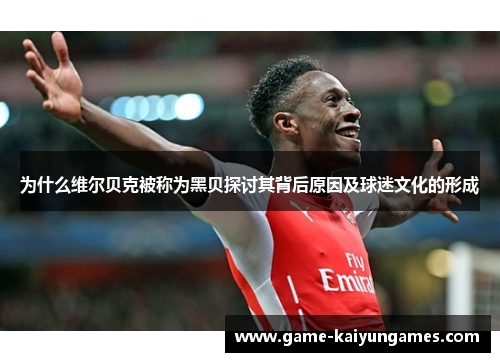 为什么维尔贝克被称为黑贝探讨其背后原因及球迷文化的形成
